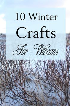 the words 10 winter crafts for wiccans are in front of some bare trees