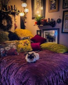 a cat laying on top of a purple bed in a room filled with pictures and decorations