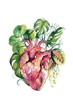 a drawing of a human heart surrounded by plants