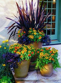 several potted plants sitting on top of each other in front of a green door