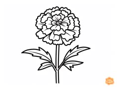 illustration of Nice marigold flower coloring for kids Easy Marigold Drawing, Marigold Flower Drawing Simple, Marigold Doodle, Marigold Logo, Marigold Clipart