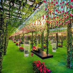 the inside of a greenhouse filled with lots of plants and hanging baskets full of flowers