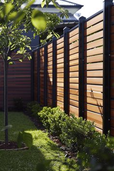 a wooden fence is next to a small tree