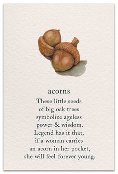 an acorn poem with the words acorns on it and two acorns in