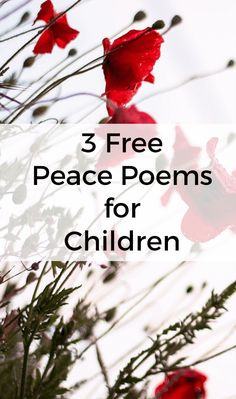 three red flowers with the words 3 free peace poem for children on top of them