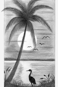 a black and white drawing of a bird under a palm tree