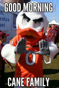 an orange and white mascot with the words good morning cane family on it's chest