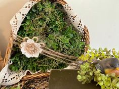 a bird sitting on top of a basket filled with plants