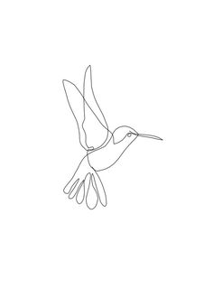 a single line drawing of a hummingbird flying