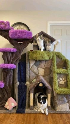 a dog laying in front of a cat tree house