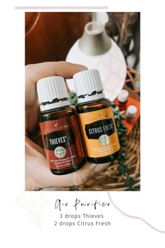 Thieves Essential Oil Blends, Citrus Fresh Diffuser Blends, Air Purifying Diffuser Blend, Thieves Diffuser Blend, Citrus Fresh Essential Oil, Young Living Products