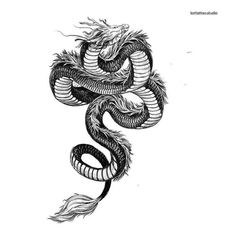 a black and white drawing of a snake with long, curled tails on it's head