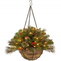 a potted christmas tree hanging from a chain with lights on it's branches