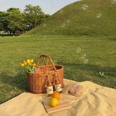 two bottles of beer are sitting on a blanket in front of a basket with lemons and oranges