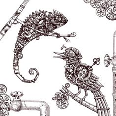 an ink drawing of a lizard and other items