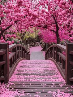 a wooden bridge with pink flowers on the ground and trees in bloom behind it,