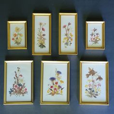 six framed floral paintings on a blue wall