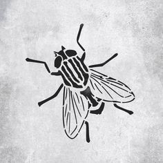 a black and white drawing of a fly on a gray background with the words,