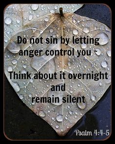 a leaf with water drops on it that says do not sin by letting anger control you think about it overnight and remain silent