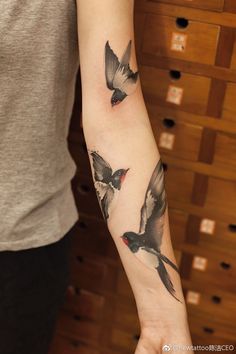 Bird Wrap Around Arm Tattoo, Bird Forearm Tattoo, Chinese Style Tattoo, Around Arm Tattoo, Tattoos For Women Flowers, Bird Flying