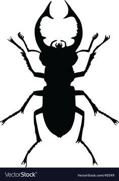 a beetle silhouette on a white background