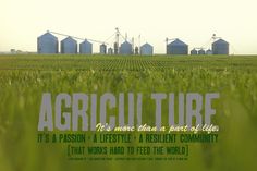 an image of a field with the words agriculture written in white and green on it