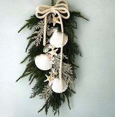 an arrangement of seashells and pine branches hangs on the wall