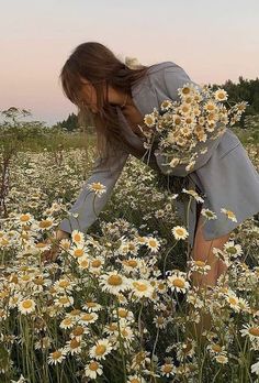 a woman kneeling down in a field of daisies