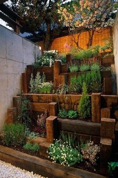 an outdoor garden with wooden steps and plants