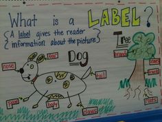 a bulletin board with writing on it that says what is a label and an image of a dog