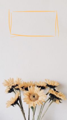 some yellow flowers are in a vase against a white wall with an orange line above it