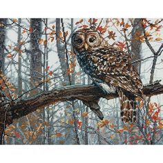 an owl sitting on top of a tree branch in the middle of a forest with yellow leaves