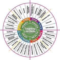 a wheel diagram with the words targeting life skills