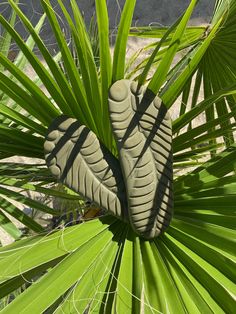 #green #plants #armygreen #nature #camouflage #flipflops #beach Nature Camouflage, Green Plants