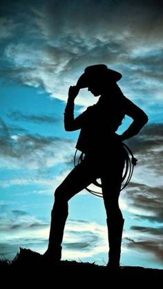 the silhouette of a cowboy is shown against a blue sky with clouds in the background