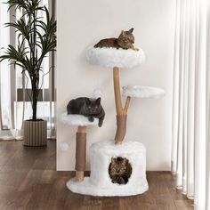 PRICES MAY VARY. 【Modern Cat Activity Center】: Look like clouds drifting by over a tree, this stylish white cat tower including 3 platforms, 2 scratching posts, a private condo, and 2 pom-pom toys is the ultimate feline hangout, saving your furniture and providing endless kitty fun. 【Natural Branch Cat Tree】: This cat furniture is professionally made of real treated tree branches partially wrapped with quality jute ropes, which is sturdy for 2 or 3 cats (no more than 22 lbs). The heavy-duty base Wooden Cat Tree, Cat Scratching Tree, Modern Cat Tree, Natural Branches, Cat Tree Condo, Cat Hiding, Cat Trees, Luxury Cat, Industrial Wood