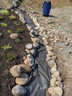 there is a rock wall in the middle of this yard that has been laid out