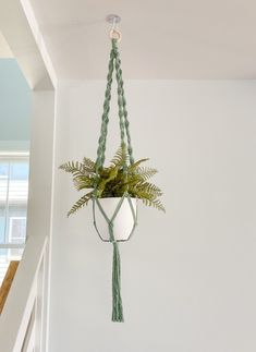 a potted plant hanging from the ceiling in a room with white walls and stairs