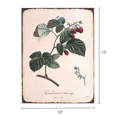 Barnyard Designs Vintage Botanical Raspberry Tin Sign Primitive Country Farmhouse Home Decor Sign 10 x 13 By * Click on the image for additional details. (Note:Amazon affiliate link) #homedecor Primitive Country Homes, Primitive Homes, Country House Interior, Tin Wall Decor, Country Interior, Rustic Materials, Tin Walls, Country Decorating, Primitive Decorating Country