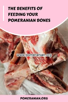 the benefits of feeding your pomegranaten bones - pomegrananian org