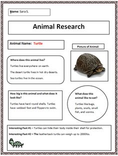 an animal research worksheet for students to learn how to read and understand animals