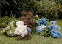 some blue and white flowers are in the grass