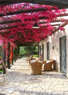 an outdoor covered patio with wicker furniture and pink flowers on the trees in bloom