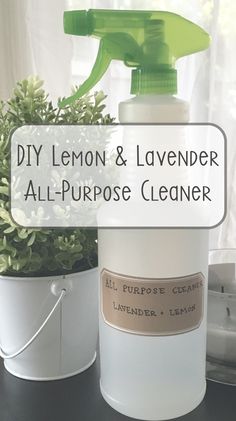 diy lemon and lavender all - purpose cleaner with potted plants in the background