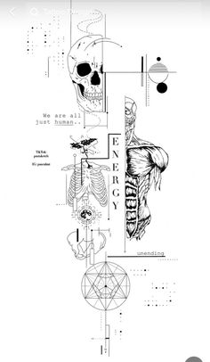 a black and white drawing of a skull with various parts on it's face