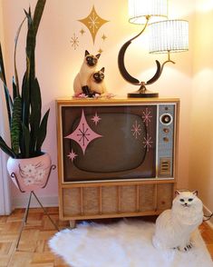 two cats sitting on top of a tv set