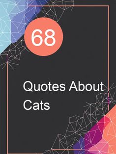 the cover for 68 quotes about cats