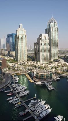 the boats are docked in the harbor next to the city's high rise buildings