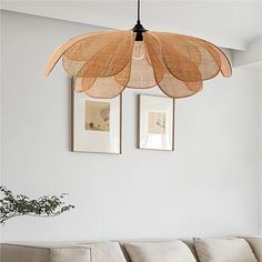 a living room with couches and pictures hanging on the wall above it, along with a plant in a vase