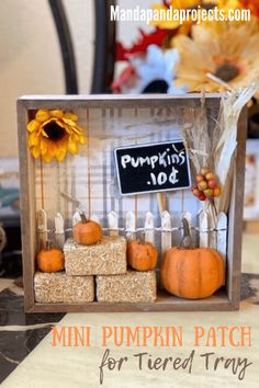 mini pumpkin patch for trees and trays made from scrapbook pages by amandaprojetts com